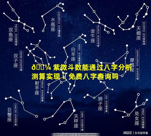 🌼 紫微斗数能通过八字分析测算实现 ☘ 免费八字查询吗